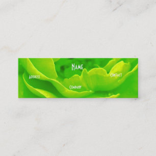 Carte De Visite Mini Fleuriste - Rose rose verte