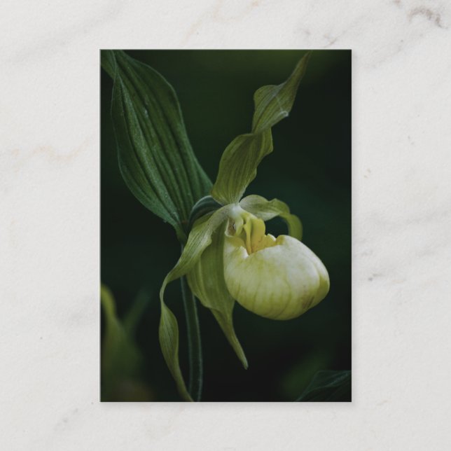 Carte De Visite Mini impression de chlipper jaune (Devant)