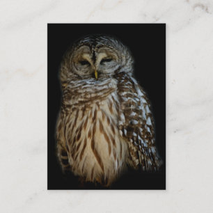Carte De Visite Mini impression Sleepy Owl