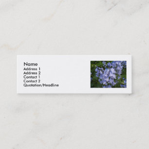 Carte De Visite Mini Jacinthes des bois