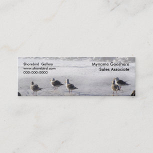Carte De Visite Mini Le peloton de mouette