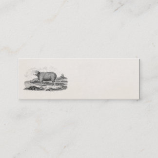 Carte De Visite Mini Modèle vintage d'agneau de brebis de moutons de