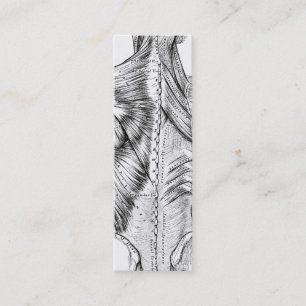 Carte De Visite Mini Muscles du dos d'art noir et blanc d'anatomie