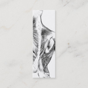 Carte De Visite Mini Muscles du dos vintages de l'anatomie   (circa