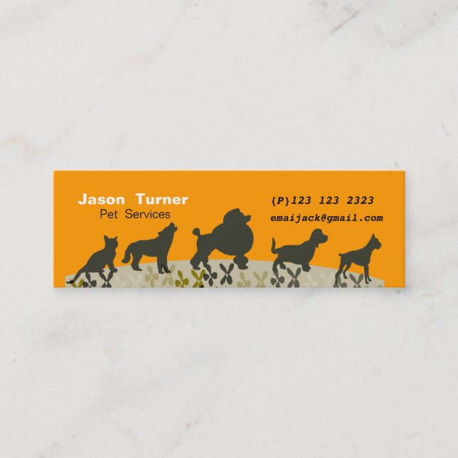 Carte De Visite Mini Nouveau Parade Animaux vétérinaires Vétérinaires G (Devant)