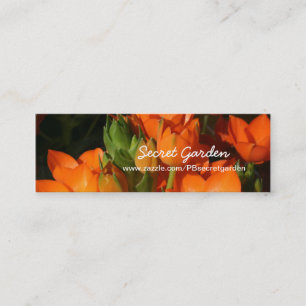 Carte De Visite Mini Orange Spring 1 -Photographie florale