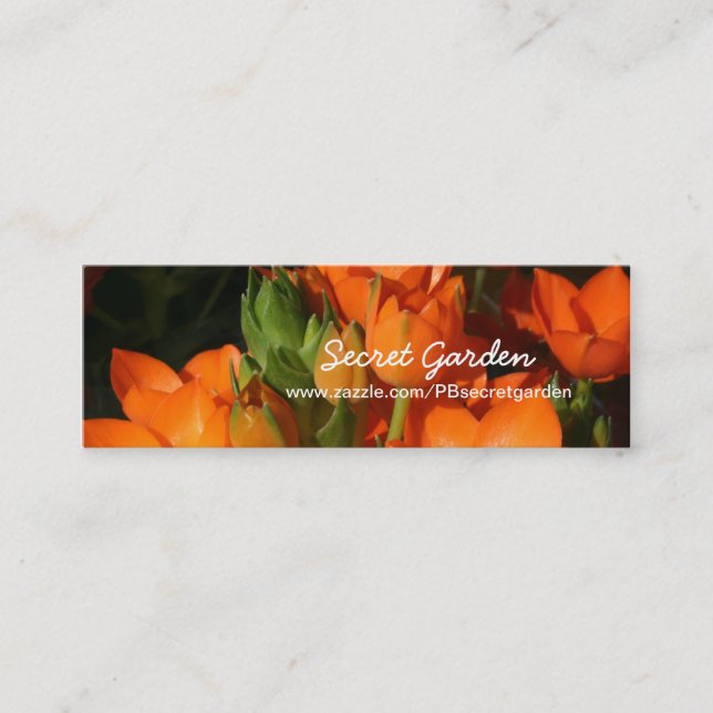 Carte De Visite Mini Orange Spring 1 -Photographie florale (Devant)