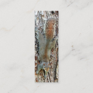 Carte De Visite Mini Petite écureuil mignonne
