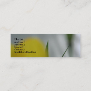 Carte De Visite Mini Poppies et ombres 4