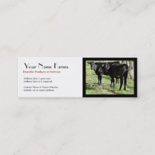Carte De Visite Mini Ranch de Black Angus