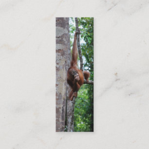 Carte De Visite Mini Signets de Hugger d'arbre de faune mini