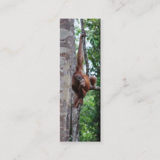 Carte De Visite Mini Signets de Hugger d'arbre de faune mini (Devant)