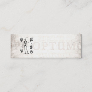 Carte De Visite Mini Squelettes antiques squelettiques d'anatomie de