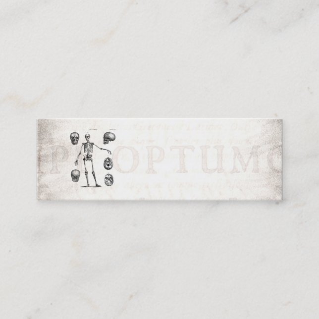 Carte De Visite Mini Squelettes antiques squelettiques d'anatomie de (Devant)