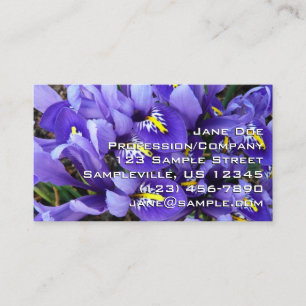 Carte De Visite Miniature Bleu Irises Printemps Floral