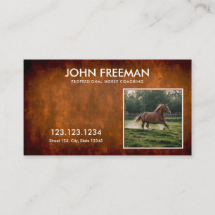 Carte De Visite Miniature Brown Photos de Cheval Coaching Rustique