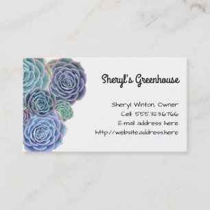 Carte De Visite Modèle personnalisé Blue Green Succulents
