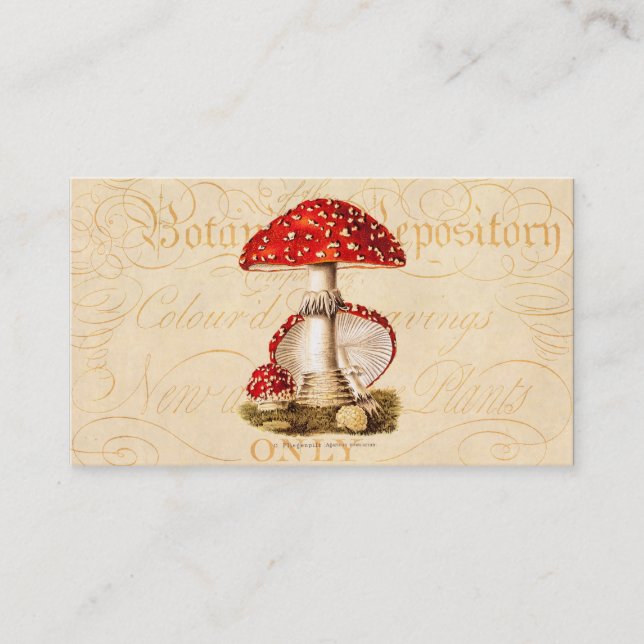Carte De Visite Modèle vintage de champignons de rouge de (Devant)