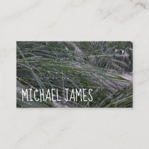 Carte De Visite Morning Grass Dewdrops Pluie Nature Photographie