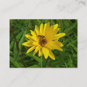 Carte De Visite Mouche à survol sur un chrysanthème jaune