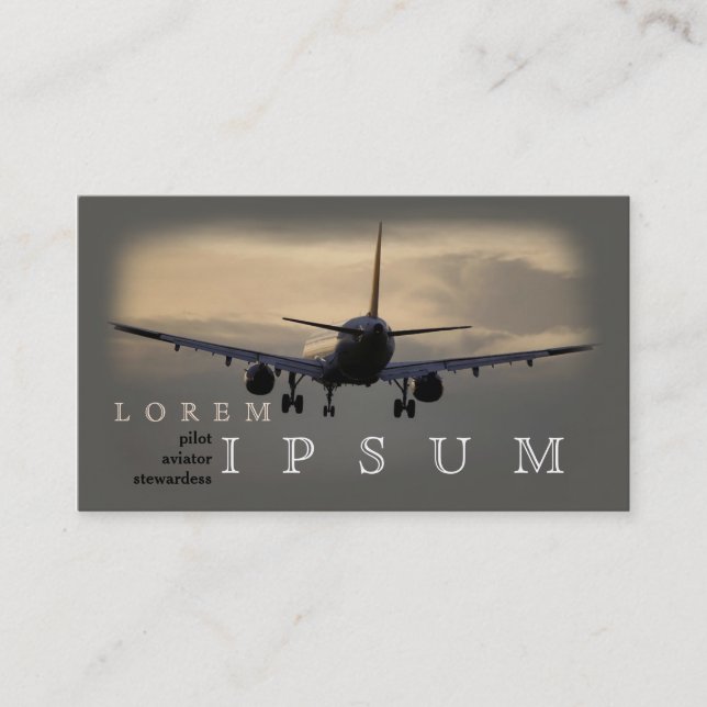 Carte De Visite Mouche pilote de voyage de ciel d'avion d'hôtesse (Devant)