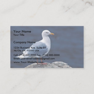 Carte De Visite Mouette glauque