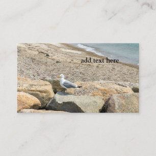 Carte De Visite mouette sur rochers au bord de la plage