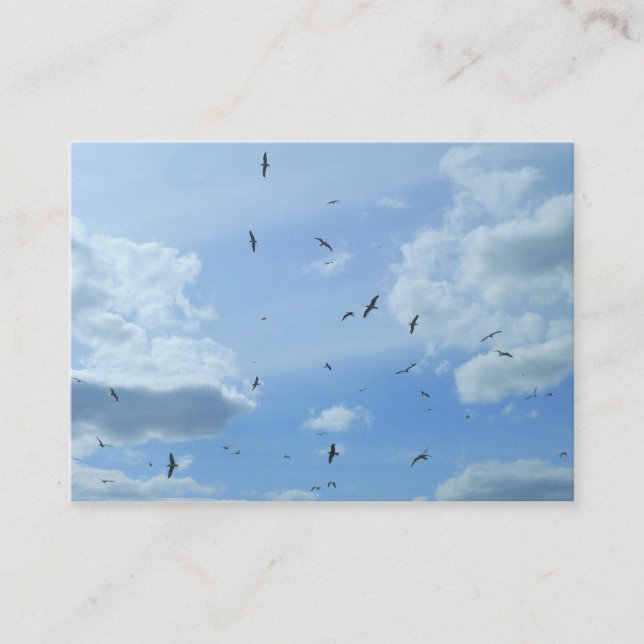 Carte De Visite Mouettes (Devant)