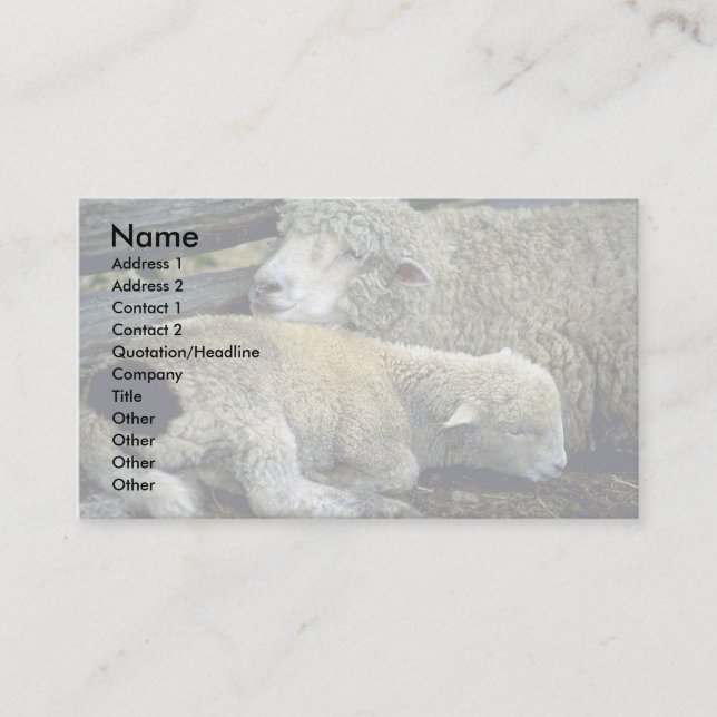 Carte De Visite Moutons (Devant)