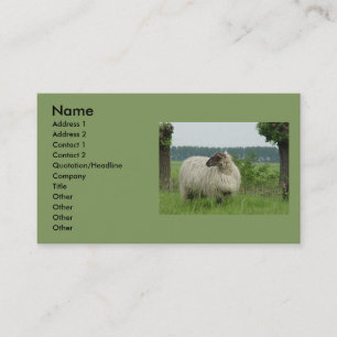 Carte De Visite Moutons sans cornes