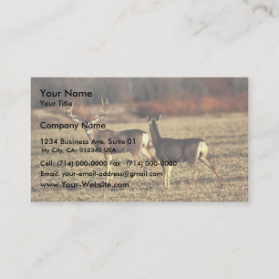 Carte De Visite Mule Deer