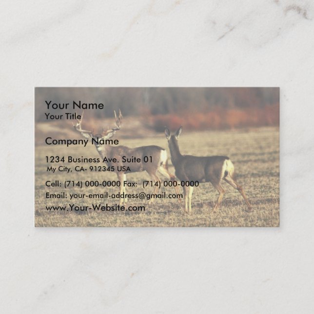 Carte De Visite Mule Deer (Devant)