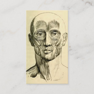 Carte De Visite Muscles vintages de l'anatomie   du visage (circa