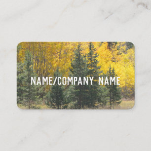 Carte De Visite nature art pin et tremble automne paysage photo