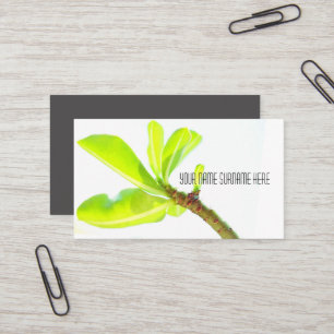 Carte de visite Nature Feuille verte Kudu Lily Ent