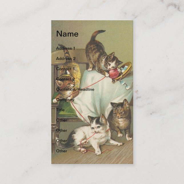 Carte De Visite Naughty Kittens (Devant)