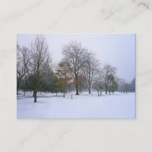 Carte De Visite Neige dans le parc, Mini Photo