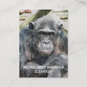 CARTE DE VISITE NETTOYAGE DES FENÊTRES