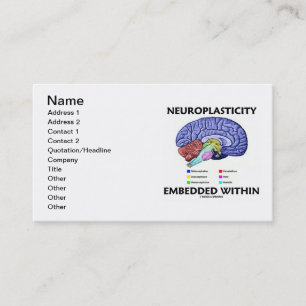 Carte De Visite Neuroplasticity a enfoncé dans (l'anatomie de