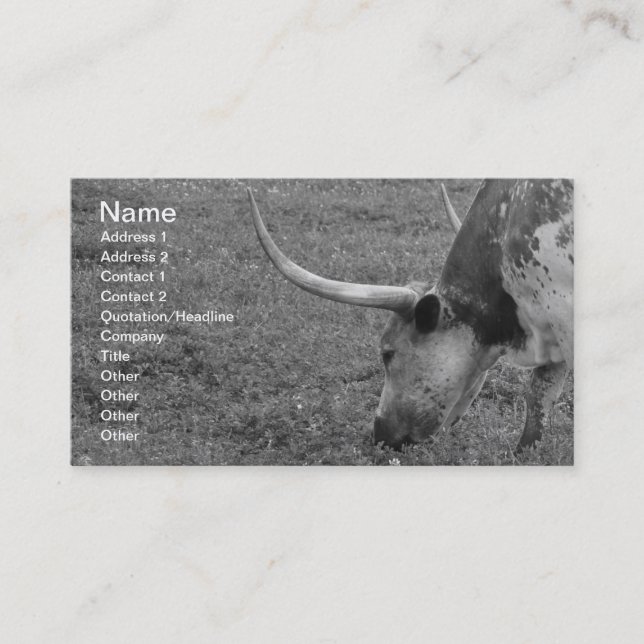 Carte de visite noir et blanc du Texas Longhorn (Devant)