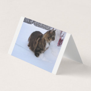 Carte De Visite norwegian forest cat in snow