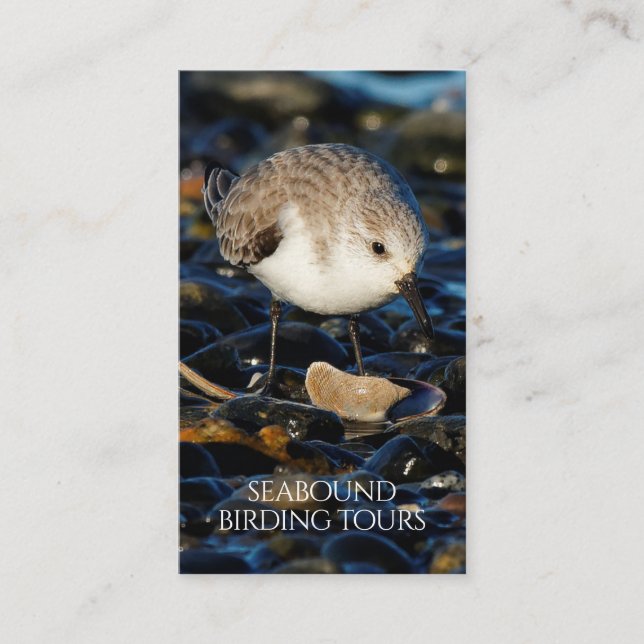 Carte De Visite Observation d'oiseaux de Sanderling / Visites de l (Devant)