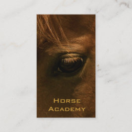 Carte De Visite Oeil de cheval de châtaigne