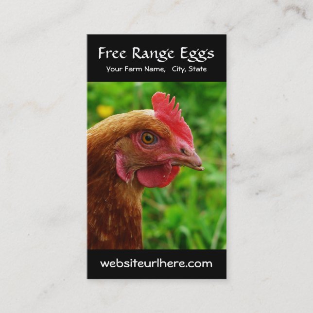 Carte De Visite Oeuf cultivant la photo rurale de poulet (Devant)