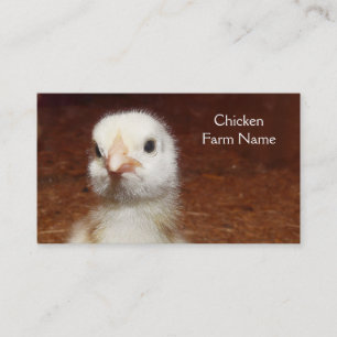 Carte De Visite Oeuf de poulet de bébé ou ferme de poulet