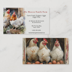 Carte De Visite Oeufs Biologiques Poulet De La Ferme