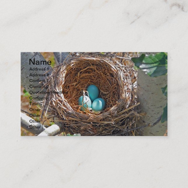 Carte De Visite Oeufs de Robin dans un nid d'arbre de jardin (Devant)
