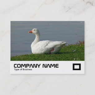 Carte De Visite Oie blanche