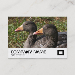 Carte De Visite Oie du laitier