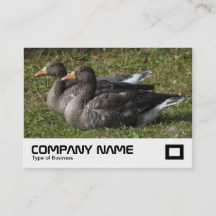 Carte De Visite Oie du laitier